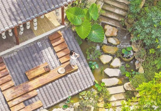 富旺配资 缙云山生态修复带动产业升级 重庆北碚走出“点绿成金”发展新路