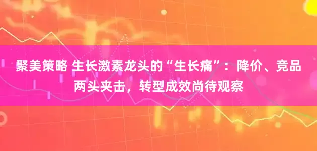 聚美策略 生长激素龙头的“生长痛”：降价、竞品两头夹击，转型成效尚待观察