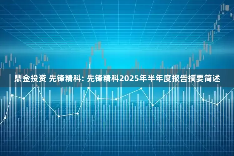 鼎金投资 先锋精科: 先锋精科2025年半年度报告摘要简述